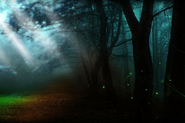 الخيال ليلة الغابات في ضوء القمر
