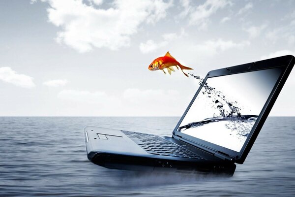 Goldfisch springt aus dem Laptop