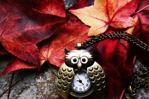 Horloge hibou sur pierre parmi les feuilles rouges