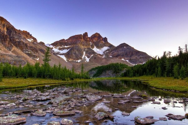 Río de montaña entre abetos y picos nevados