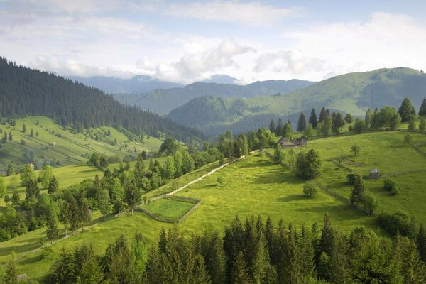 Пагорби мають очі і серце