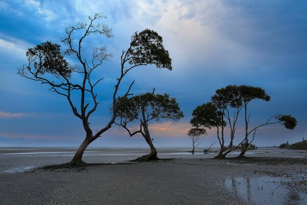 Nature after heavy rains