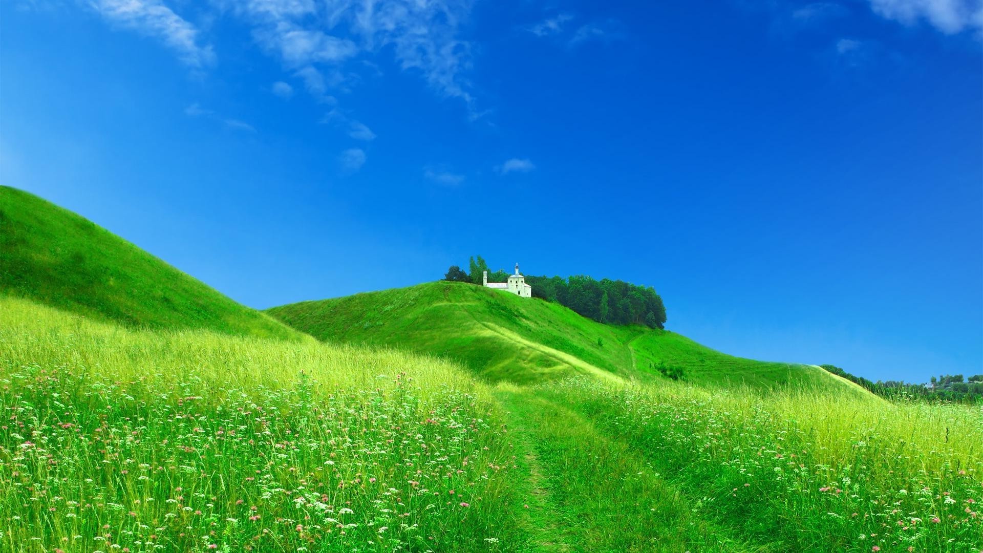 felder wiesen und täler gras weide landschaft landschaft natur landschaft heuhaufen sommer feld himmel weiden landwirtschaft im freien gutes wetter bauernhof land ackerland idylle hügel