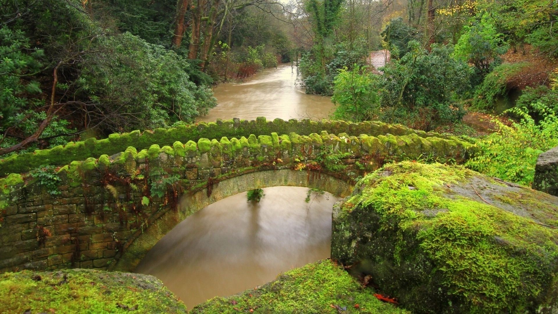 flüsse teiche und bäche teiche und bäche wasser holz natur landschaft blatt wasserfall reisen üppig fluss garten holz im freien park herbst landschaftlich fluss berge umwelt stein