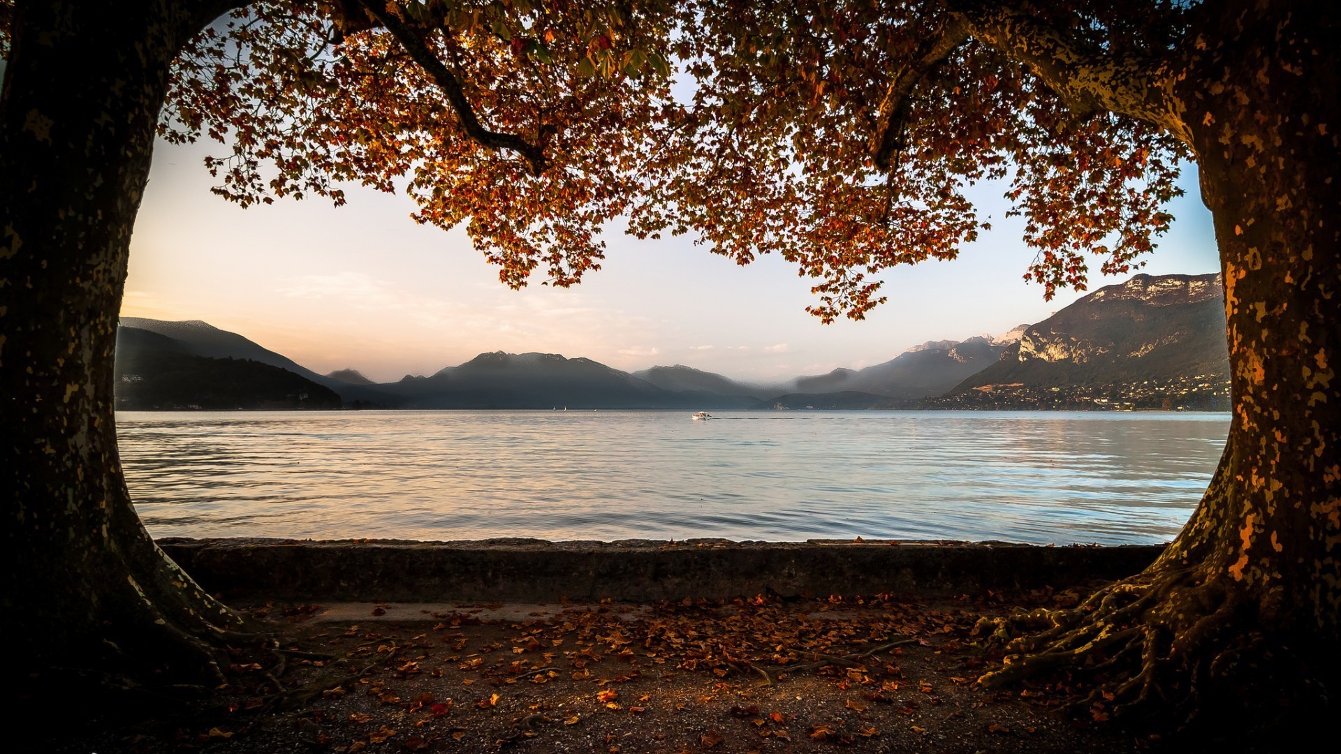 lake water tree landscape sunset sun dawn beach nature sea travel fall