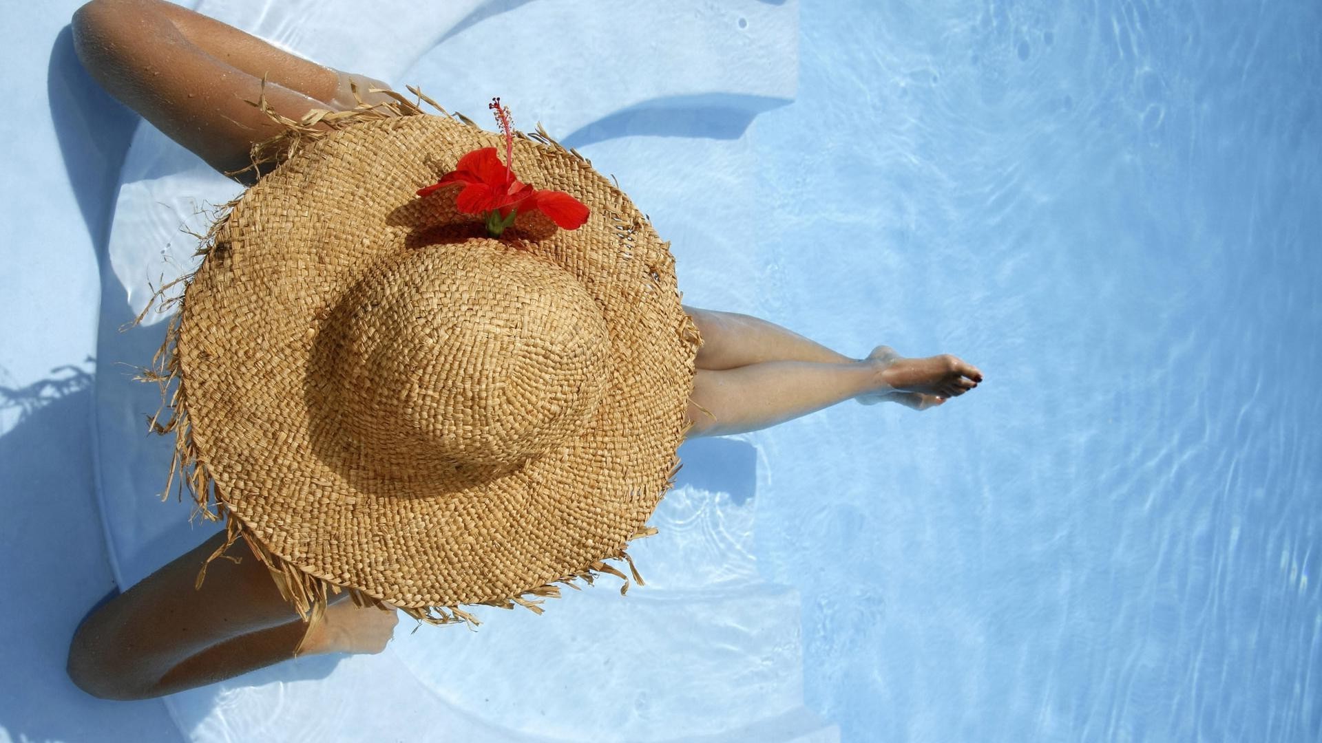 na piscina verão área de trabalho lazer natureza lazer ao ar livre sozinho comida