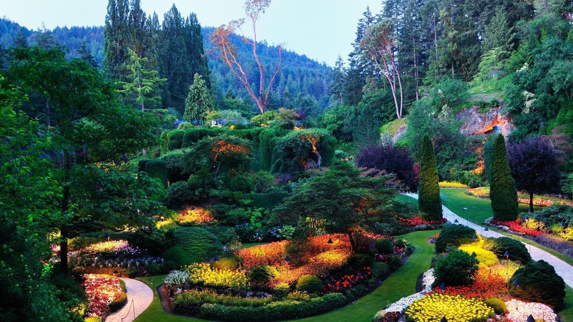 景观 树 花园 公园 自然 景观 夏天 水 户外 木材 风景 颜色 草 旅游 叶 花 秋天 季节 草坪 美丽