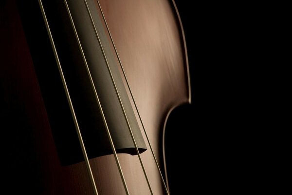 Photo ombrée du manche et des cordes du violon