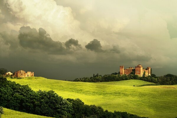 La luce cade sul campo verde