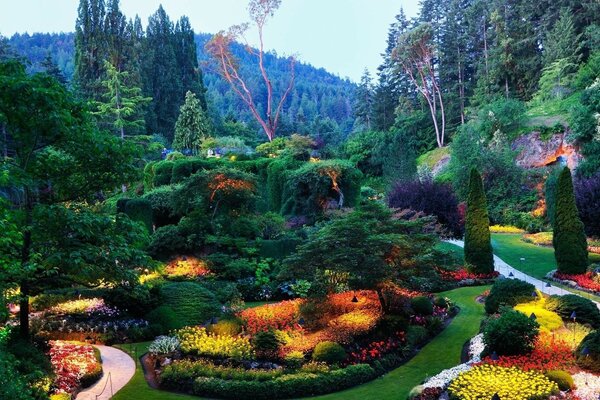 Bela natureza florescimento de canteiros de flores