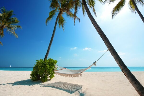 Romantic trip with a hammock on the shore of the island