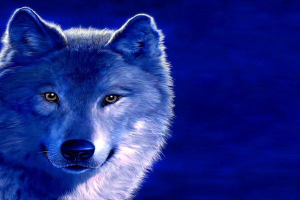 Drawing of a wolf on a blue background