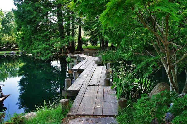 Green square for privacy with nature