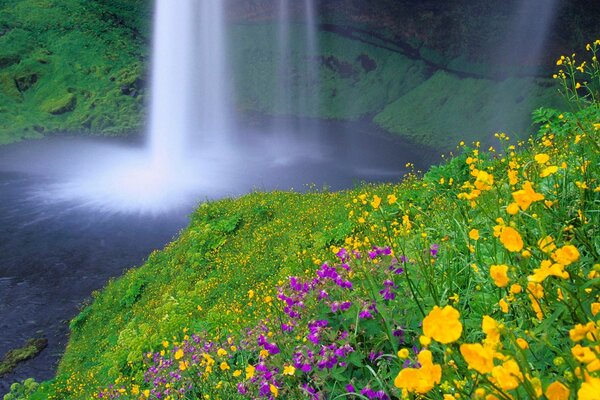 Sommerliche, warme Landschaft mit Wasserfall