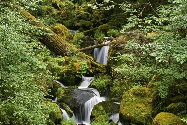 Пейзаж водоспаду крізь каміння та скелі