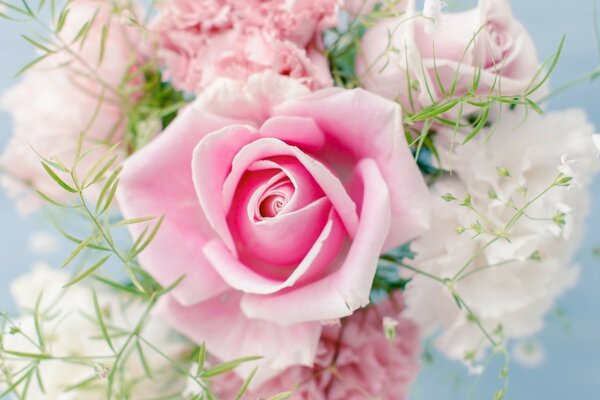 Eine zarte Rose im Blumenstrauß für ein Mädchen