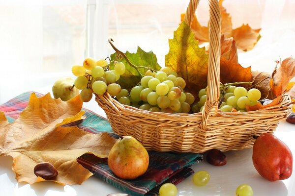 Basket with fruits and autumn leaves