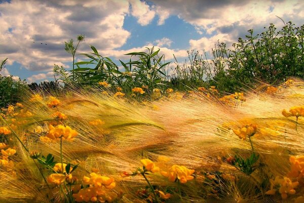 La misteriosa belleza del paisaje otoñal