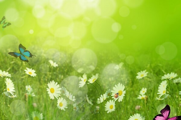 Die Natur ist im Sommer besonders schön