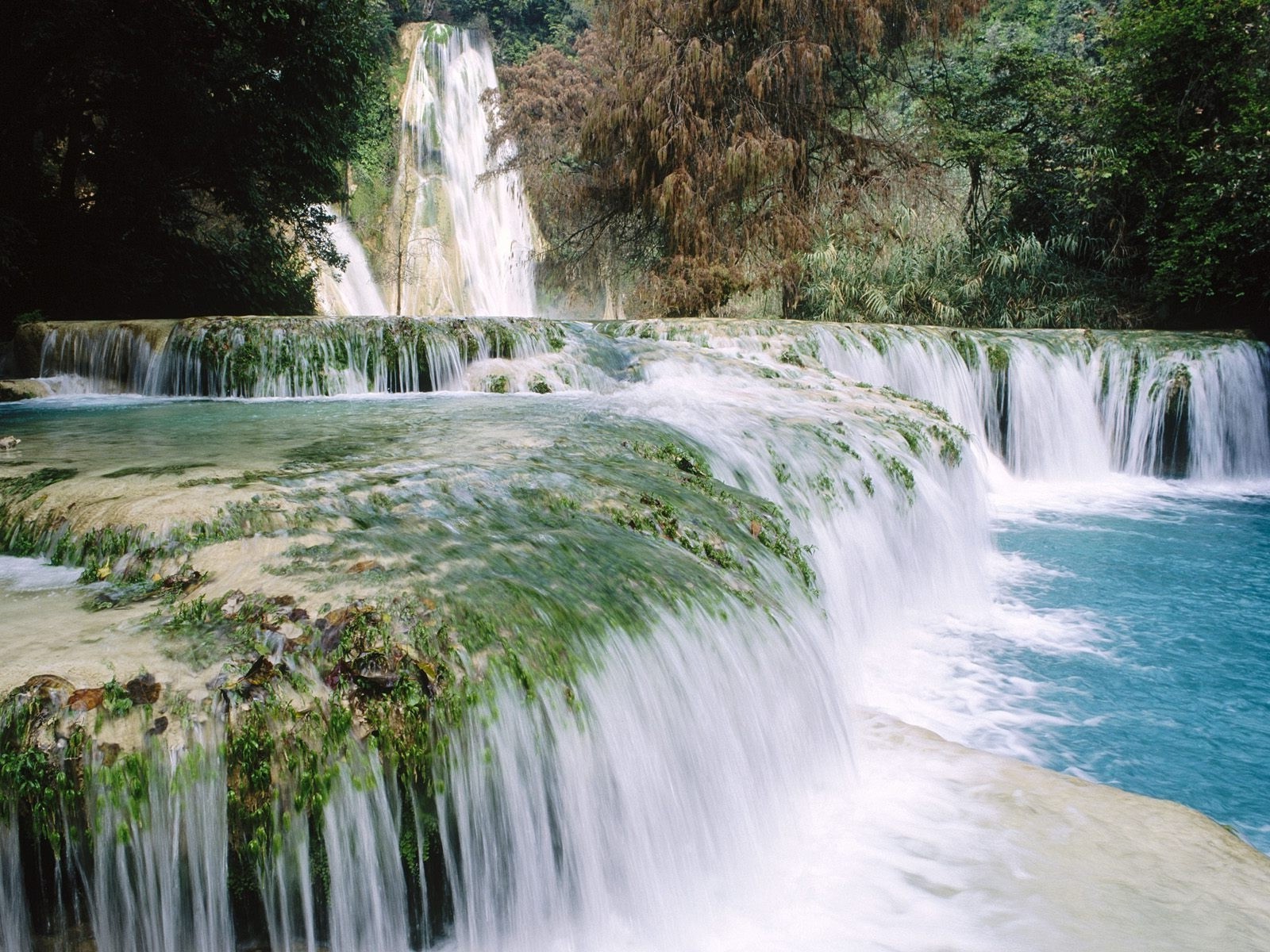 cascadas cascada agua río cascada corriente naturaleza otoño corriente paisaje roca splash parque movimiento madera viajes al aire libre hoja grito cataratas