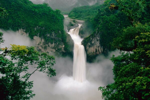 Beautiful nature, trees and waterfall