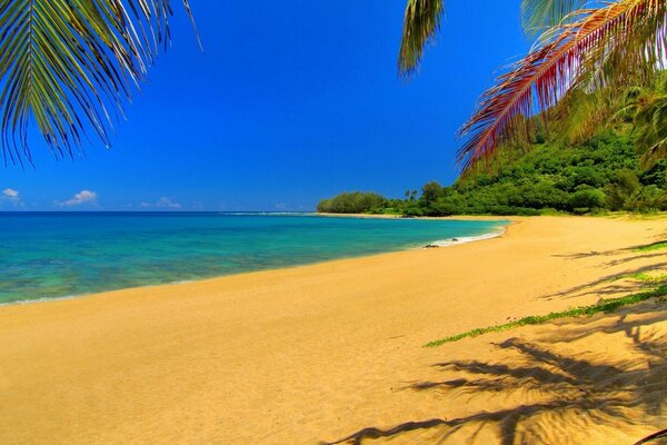 Sandy beach of a beautiful island in the ocean