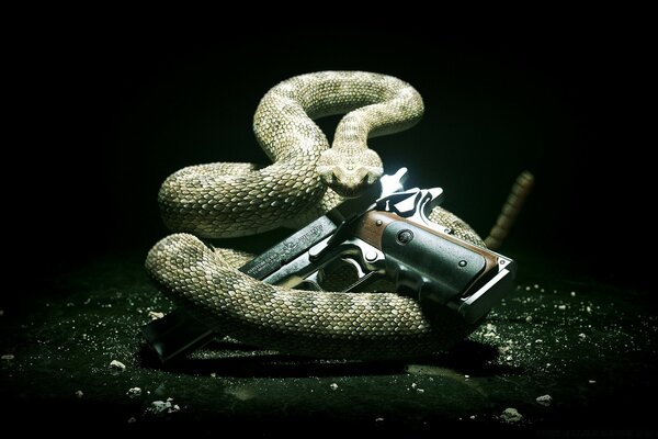 На темному тлі змія обвилася навколо пістолета