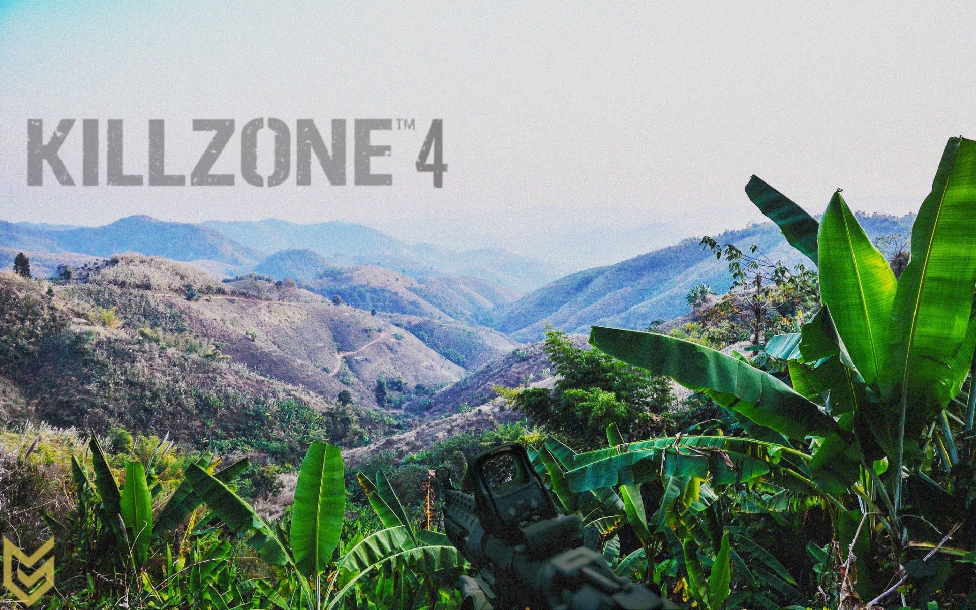 killzone natur tropisch reisen im freien blatt berge baum sommer flora landschaft holz himmel wasser gras