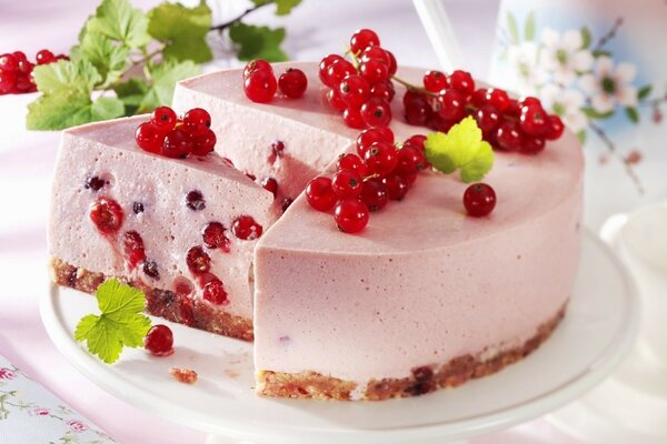 Tender currant delicious cheesecake