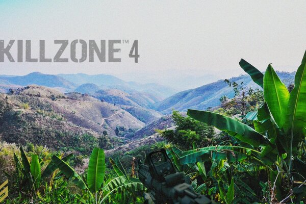 Rainforest on the background of brown mountains