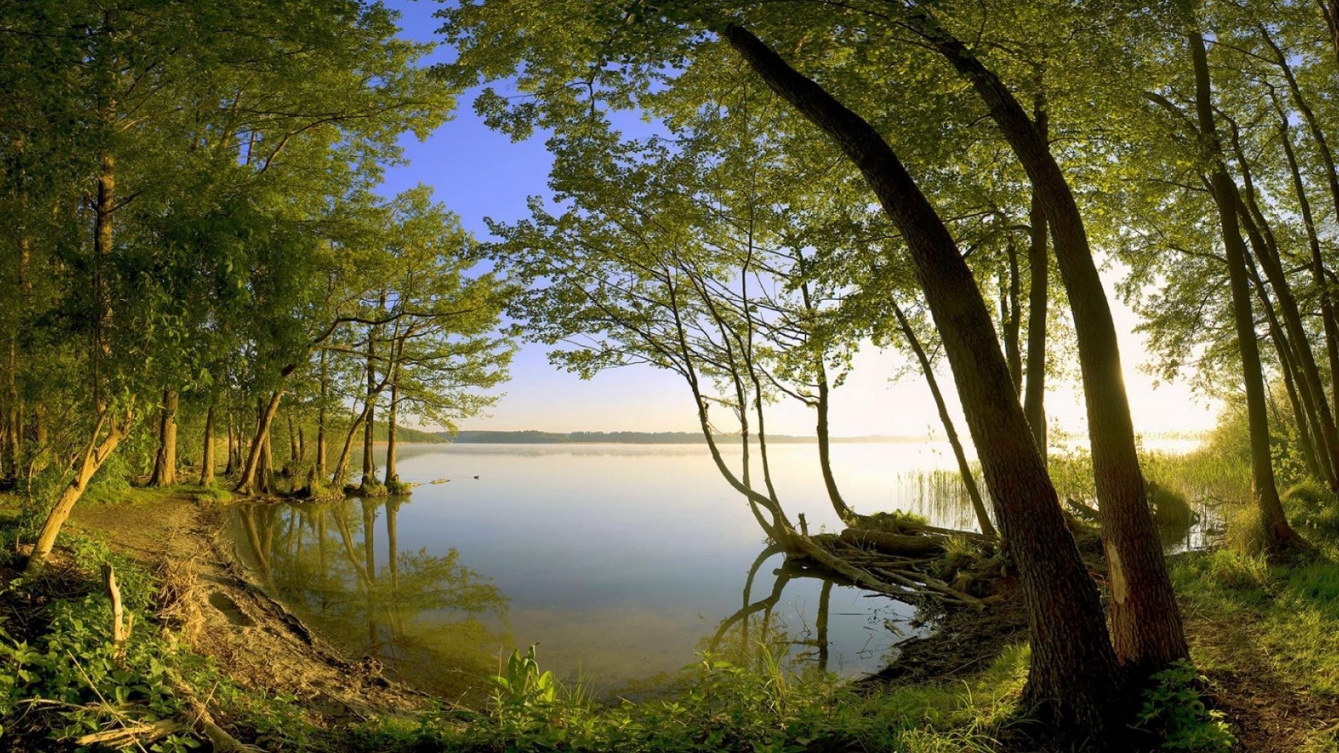 see landschaft wasser holz holz natur blatt reflexion dämmerung sommer park landschaftlich im freien umwelt gras fluss sonne licht herbst