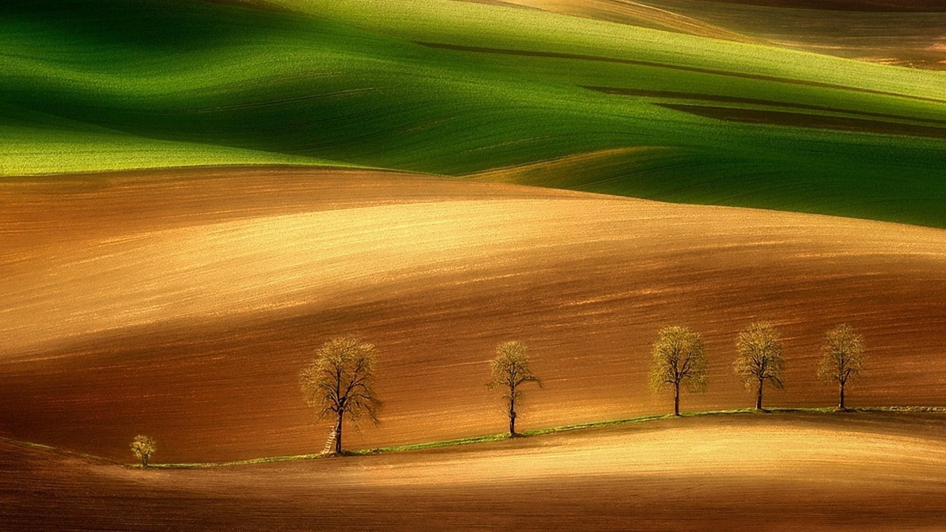 collines coucher de soleil aube nature paysage ciel herbe soleil arbre automne beau temps été rural campagne en plein air soir lumière champ