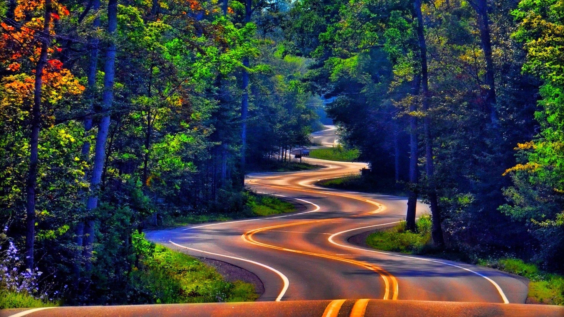 carretera guía naturaleza árbol viajes madera carretera al aire libre paisaje escénico asfalto callejón verano hoja