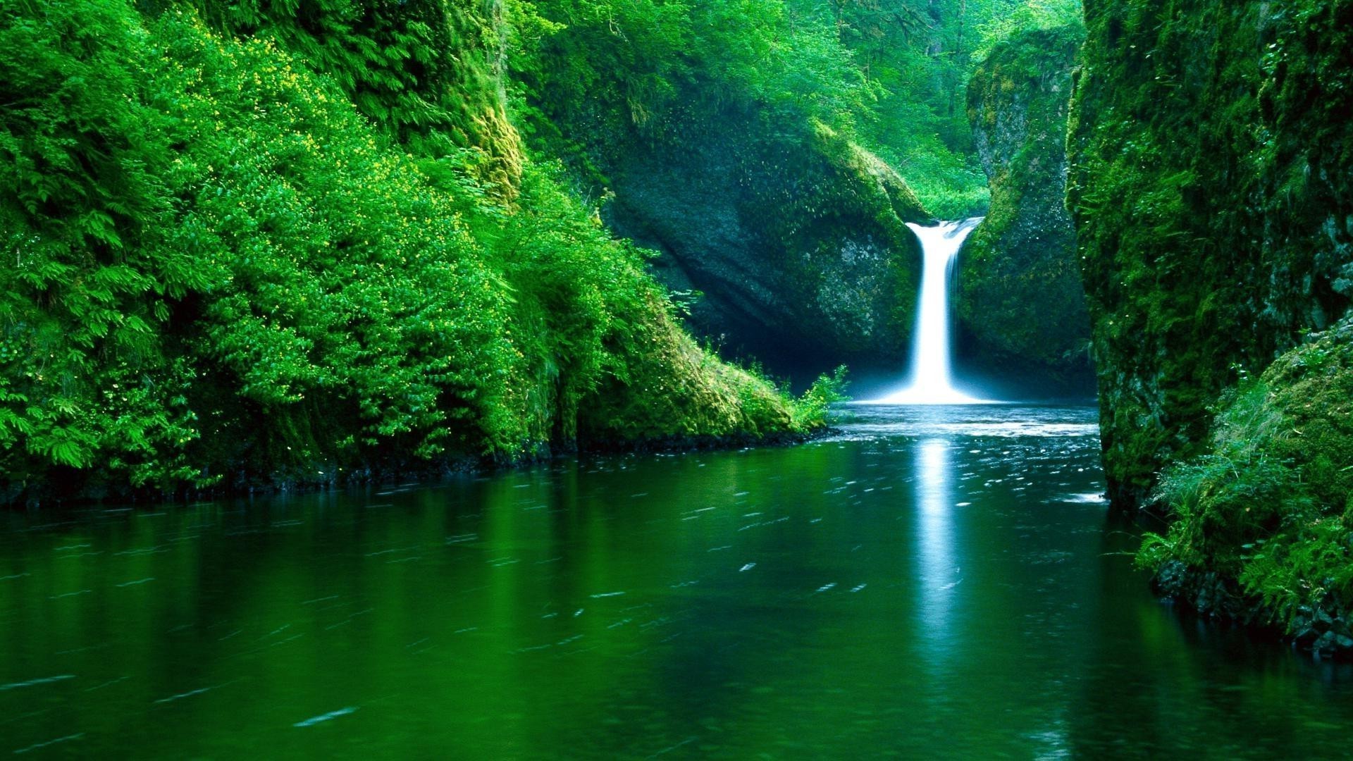 cascadas agua naturaleza río al aire libre cascada hoja viajes madera árbol verano paisaje corriente mojado