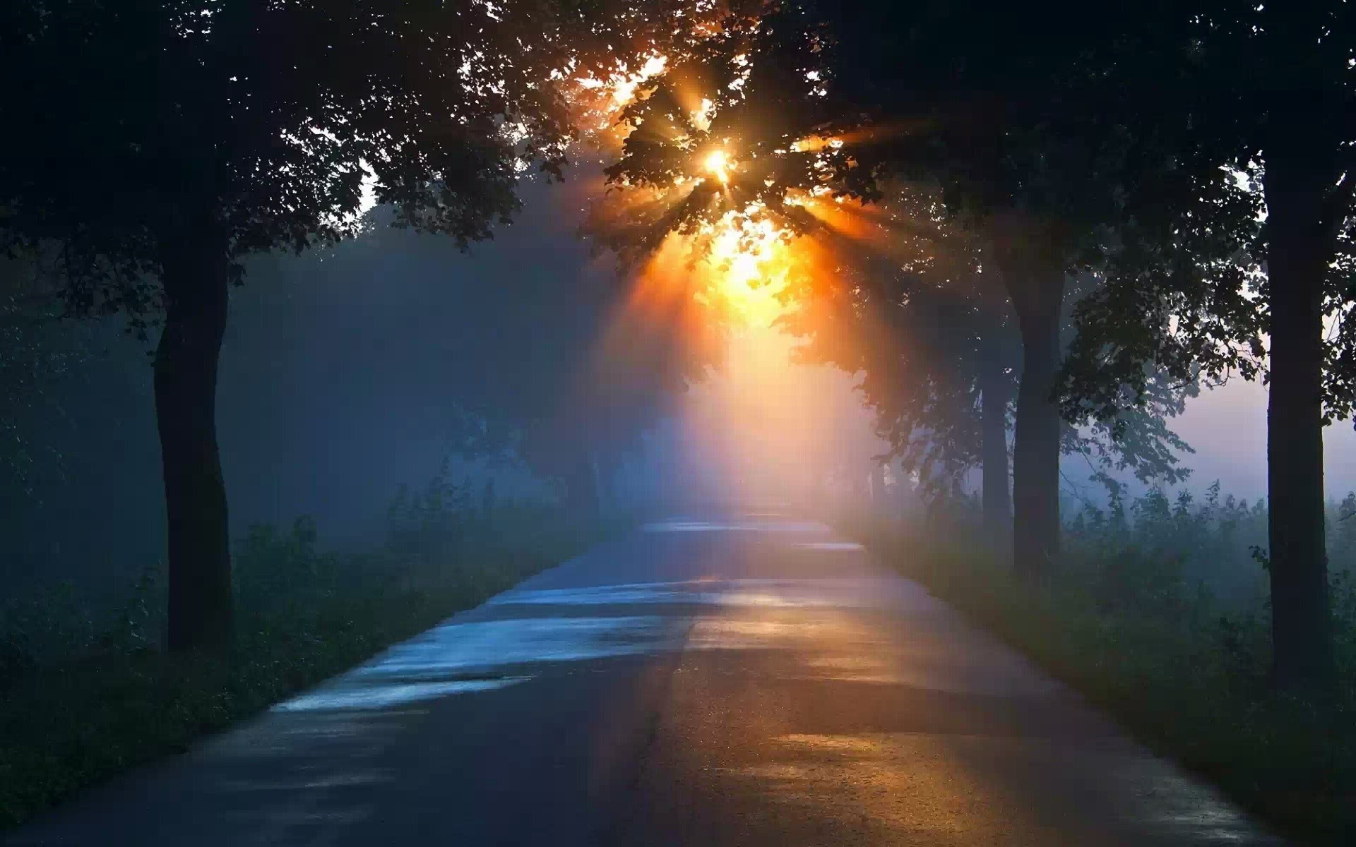 sonnenuntergang und dämmerung straße dämmerung landschaft licht sonne nebel baum im freien natur gutes wetter führung holz am abend nebel sonnenuntergang