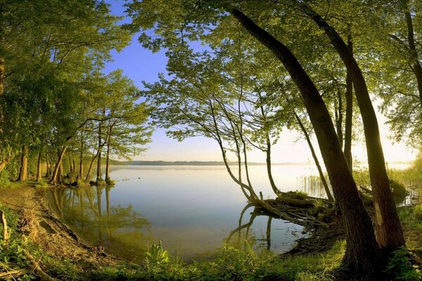 Idyllic landscape on the lake shore