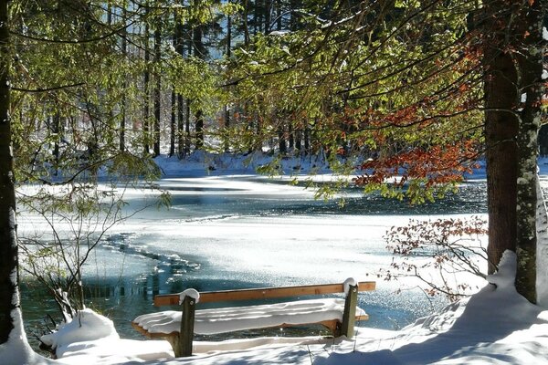 A snow-covered bench near a pond