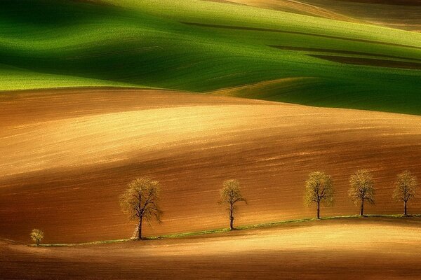 Bellissimo tramonto sulle colline