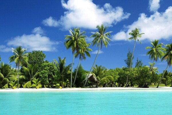 Ilha paradisíaca com areia branca e palmeiras