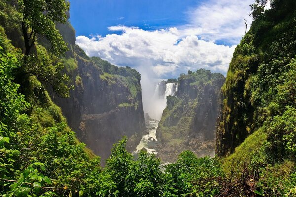 Fascinante paisaje de vida silvestre