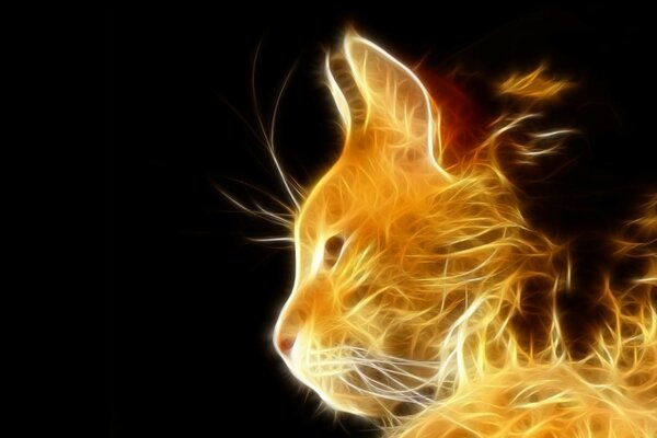 Ilustración de un gato de Fuego sobre un fondo negro