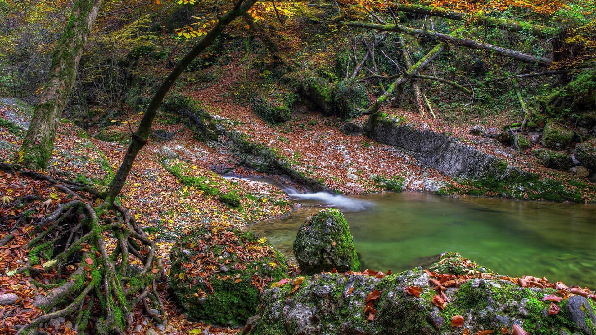 roches rochers et pierres rochers et pierres automne feuille eau paysage arbre bois ruisseau nature rivière mousse à l extérieur parc scénique environnement voyage ruisseau luxuriante cascade ruisseau