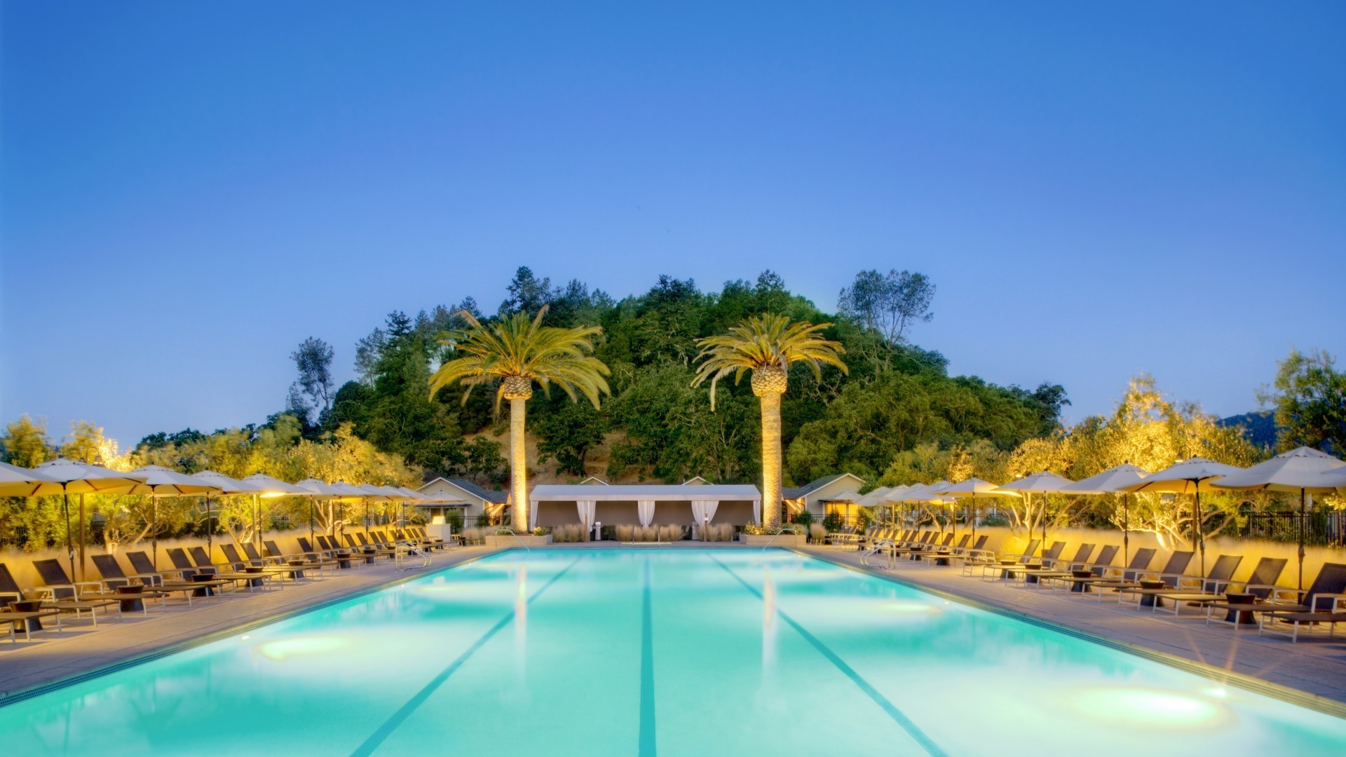 piscines voyage hôtel piscine resort luxe tropical piscine vacances vacances natation eau palm au bord de la piscine été exotique détente plage soleil loisirs