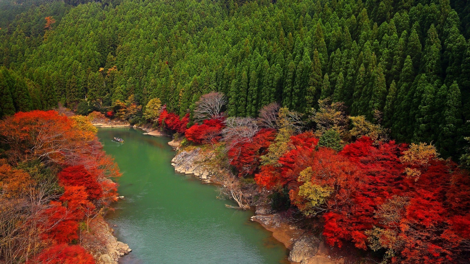 rivières étangs et ruisseaux étangs et ruisseaux eau rivière arbre à l extérieur nature voyage paysage lac bois feuille scénique automne lumière du jour flux parc