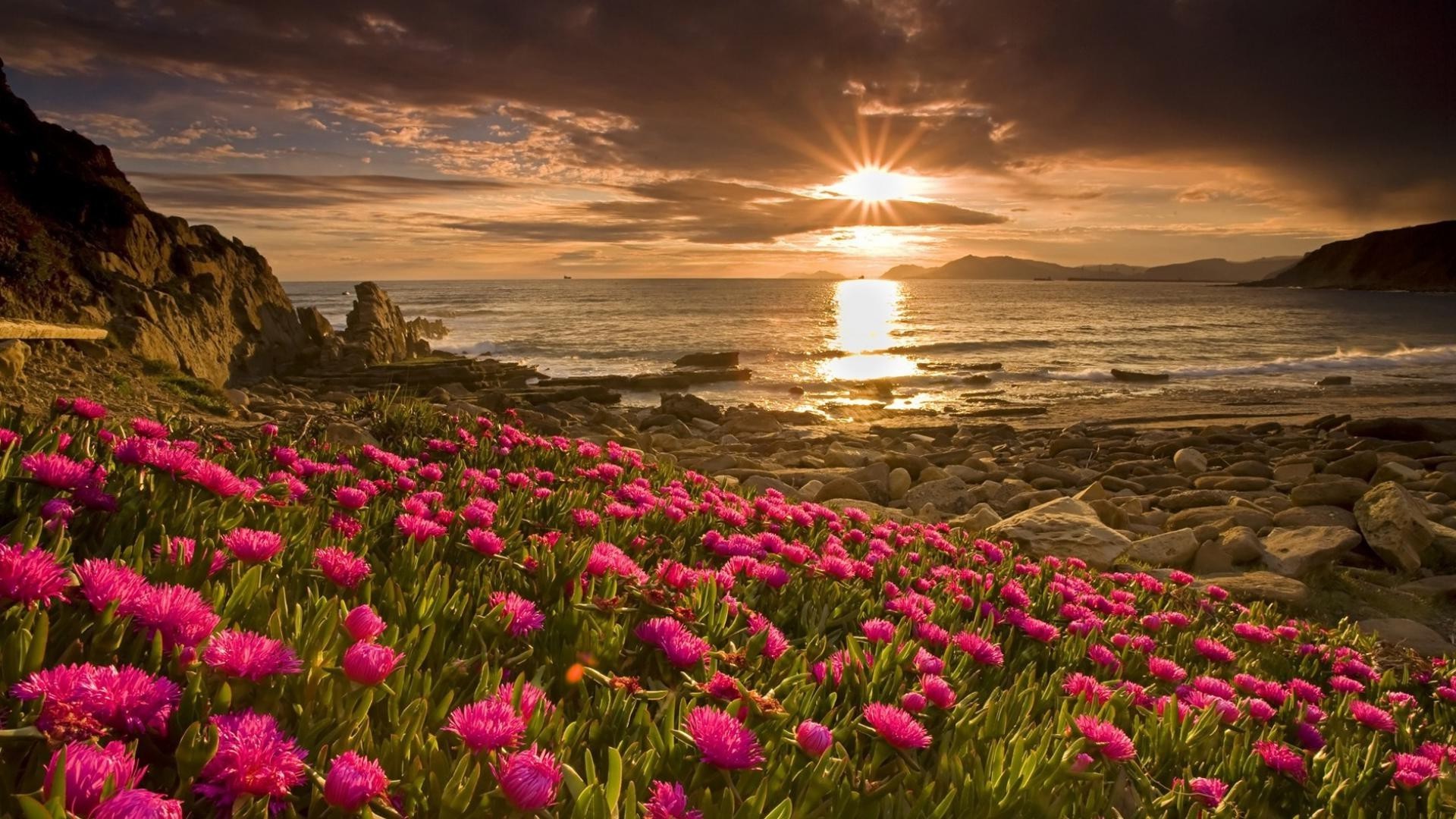 coucher de soleil et aube nature coucher de soleil eau fleur paysage mer mer plage aube océan à l extérieur été ciel soleil crépuscule voyage soir beau temps