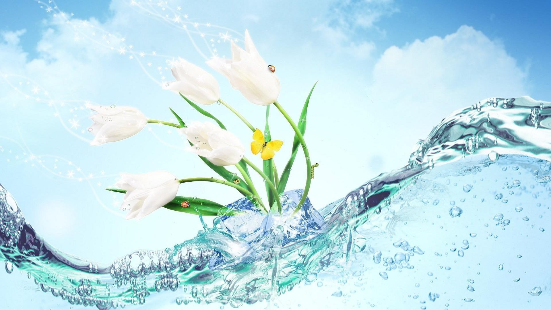 flowers in water nature cold season snow winter desktop