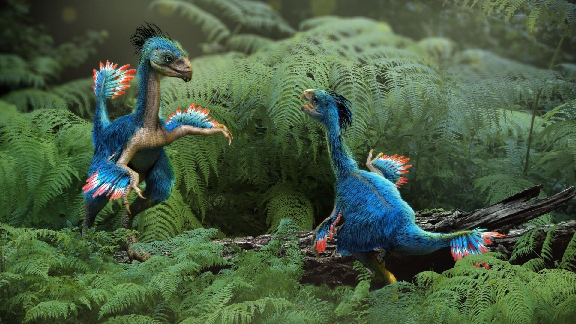 dinosauri uccello zoo piuma fauna selvatica natura colore pappagallo luce del giorno animale uccelli becco tropicale