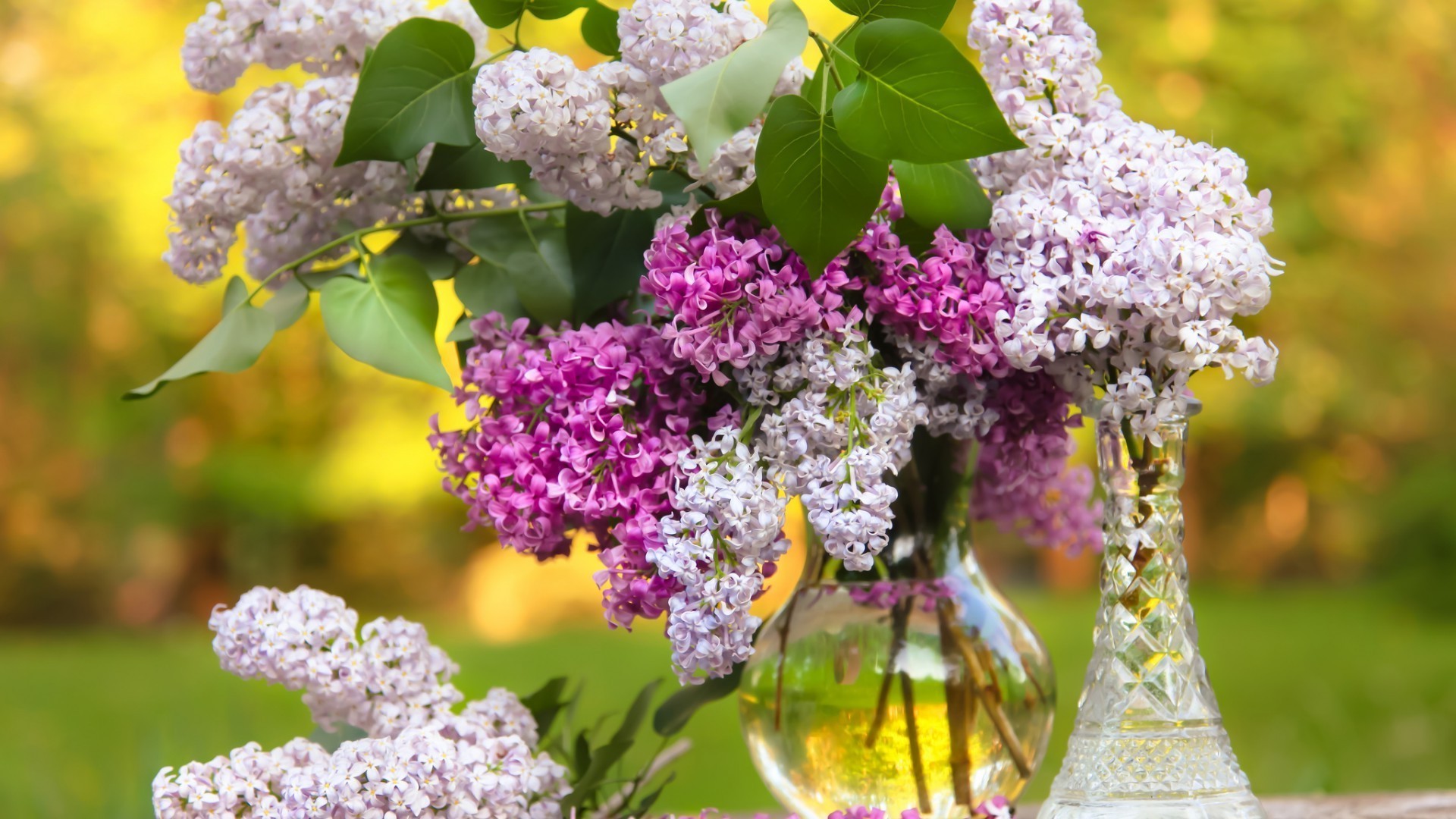 in a vase or pot flower nature flora floral leaf blooming garden bouquet branch petal tree season summer lavender decoration shrub color rose cluster