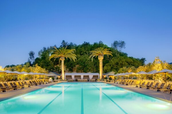 Long pool in the hotel with palm trees