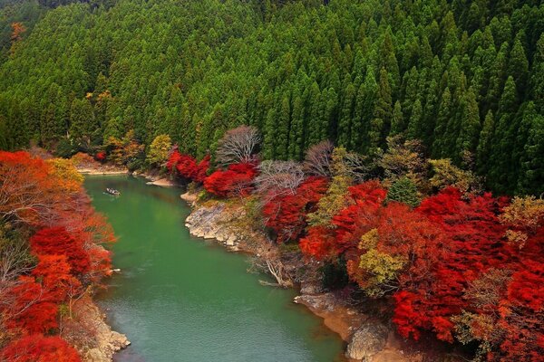 Fluss in Sibirien im Herbst mit Hubschrauber